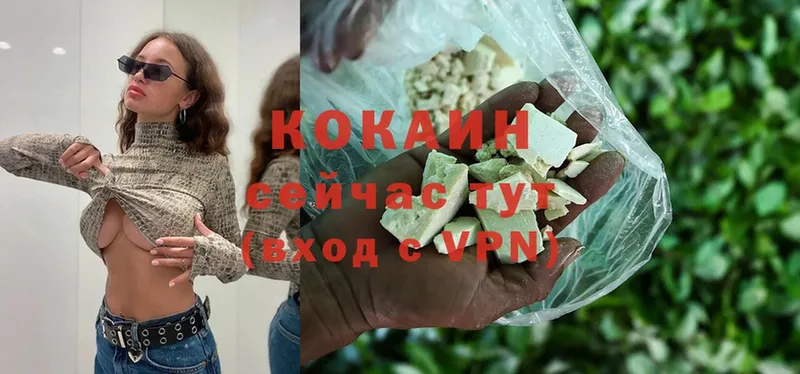 где можно купить наркотик  Дно  Cocaine Fish Scale 