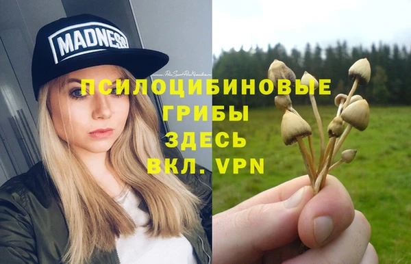 ECSTASY Навашино